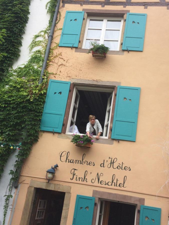 Fink'Neschtel - Maison D'Hotes Strasbourg Exterior photo